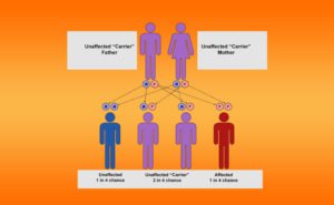 Causes of Thalassemia in the light of Astrology