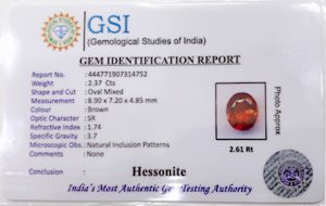 A sample certificate provided by Geological Survey of India