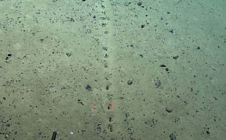 Mysterious Holes Found On The Ocean Floor Bigumbrella 3639