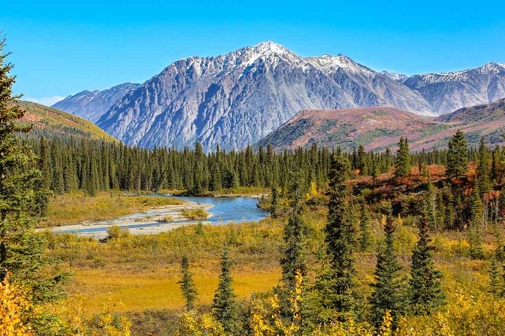 Denali National Park