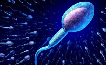 Scientists modified 350 years old concept that Sperms spin, not swim